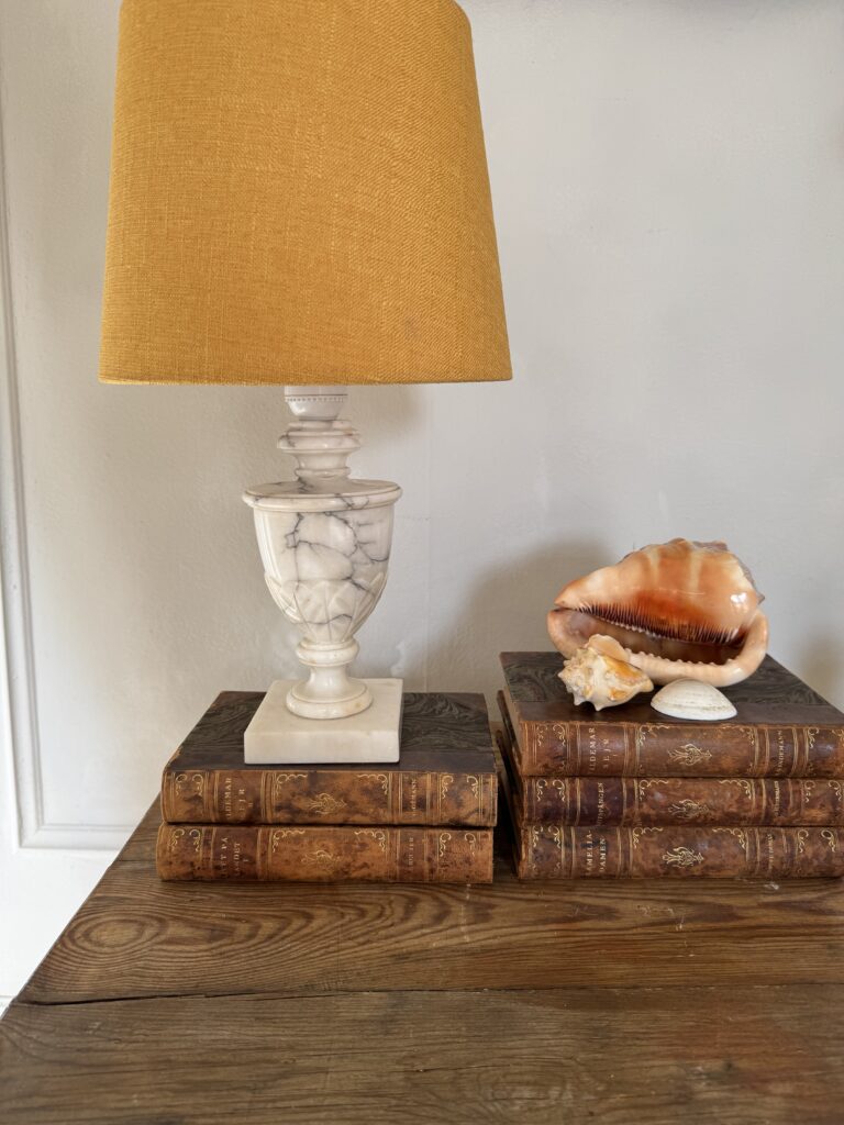 old leather books care guide