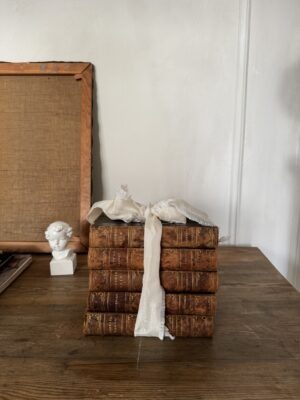 Antique leather books bundle classical novels - Image 3