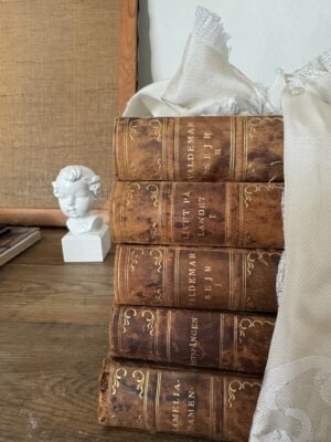 Antique leather books bundle classical novels - Image 2