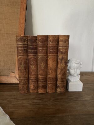 Antique leather books bundle classical novels