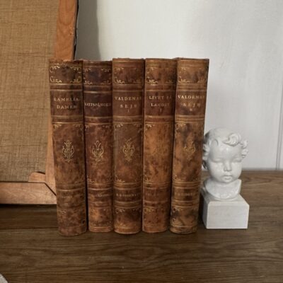 Antique leather books bundle classical novels