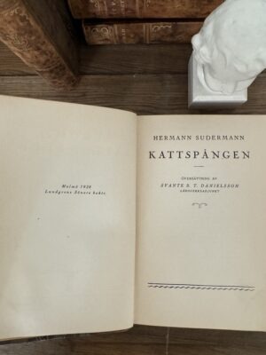 Antique leather books bundle classical novels - Image 6