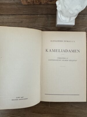 Antique leather books bundle classical novels - Image 7